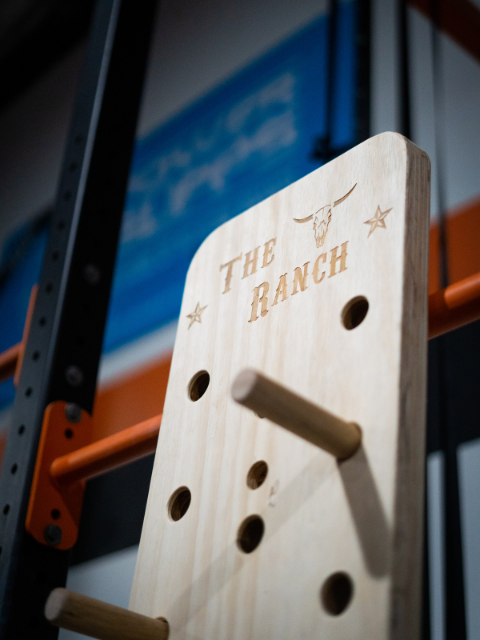 Crossfit Climbing Peg Board with company logo